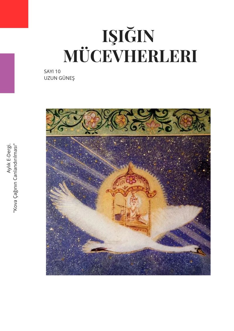 Sayı 10 · Uzun Güneş